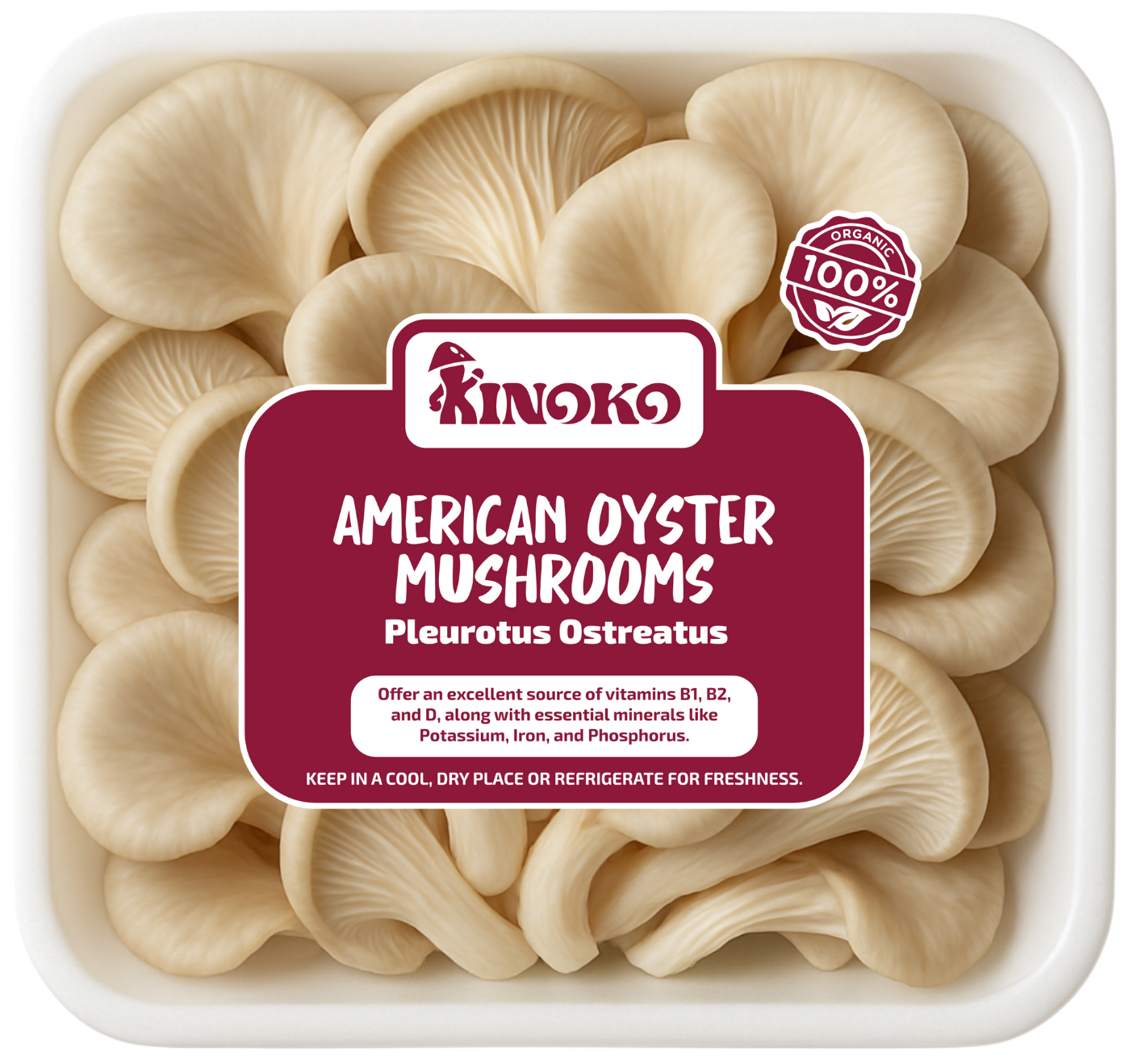 Close-up of delicate white oyster mushroom gills with soft lighting highlighting their texture.