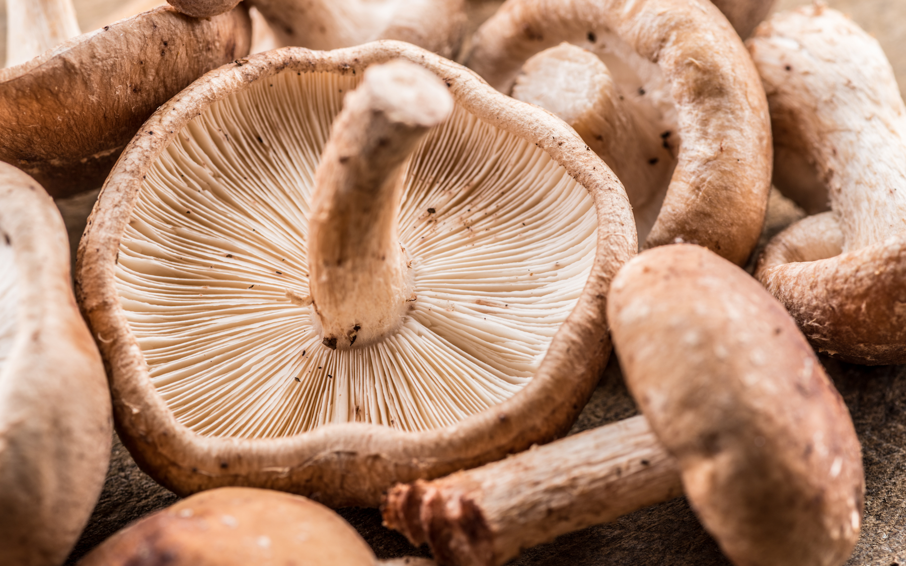 Close-up of fresh shiitake mushrooms with visible gills and stems on a textured surface.