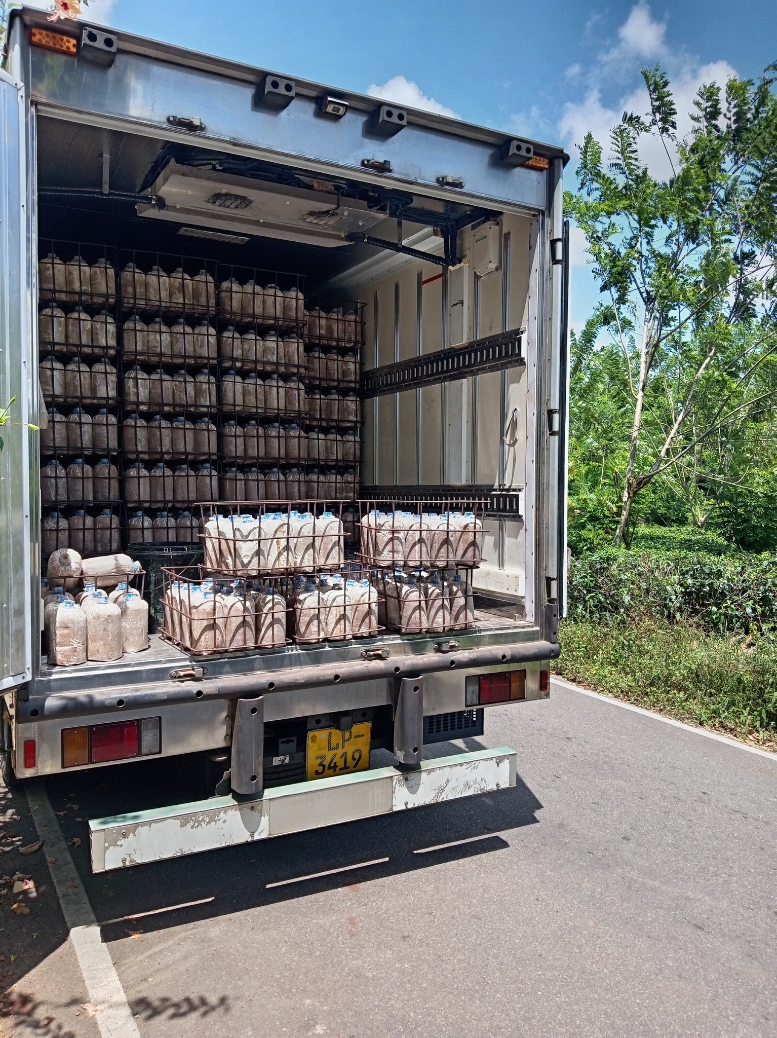 Open truck loaded with multiple stacks of plastic bags filled with substrate for mushroom cultivation on a sunny roadside.