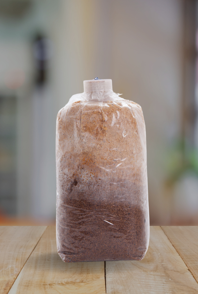 Plastic bag filled with layered brown substrate on a wooden surface, likely used for mushroom cultivation.